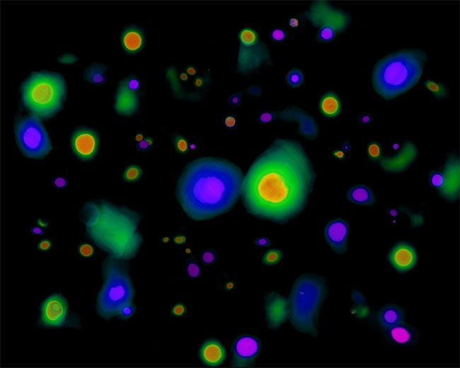 Defect Suspected in Fabric of Space-Time